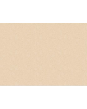 ARTS13 003/1 Обои Artsimple (Holidays) (1*6) 10,05x1,00 флизелин-foto2