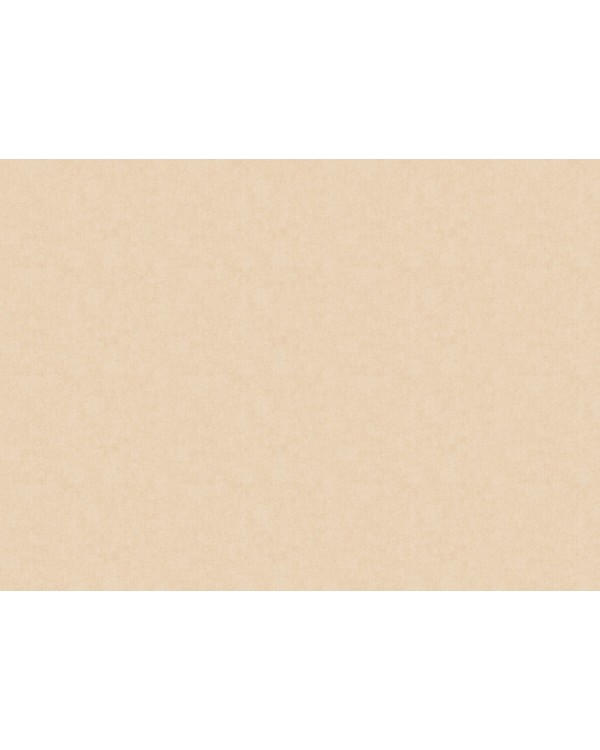 ARTS13 003/1 Обои Artsimple (Holidays) (1*6) 10,05x1,00 флизелин