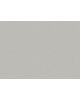 ARTS13 011/1 Обои Artsimple (Holidays) (1*6) 10,05x1,00 флизелин-foto2