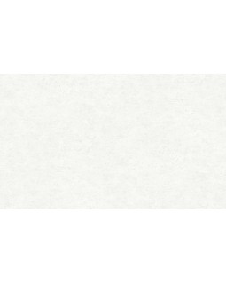 R138101 Обои Grandeco (Voyage) (1*6) 10,05х1,06 винил на флизелине