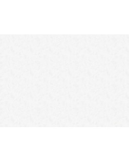 R137101 Обои Grandeco (Voyage) (1*6) 10,05х1,06 винил на флизелине-foto2