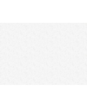 R137101 Обои Grandeco (Voyage) (1*6) 10,05х1,06 винил на флизелине-foto2