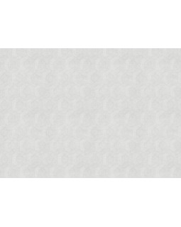 30354 Обои Marburg (Memoria) (1*6) 10,05x1,06 винил на флизелине-foto2