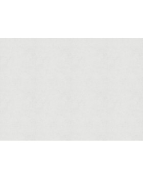 30358 Обои Marburg (Memoria) (1*6) 10,05x1,06 винил на флизелине-foto2