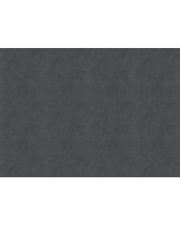 30361 Обои Marburg (Memoria) (1*6) 10,05x1,06 винил на флизелине-foto2