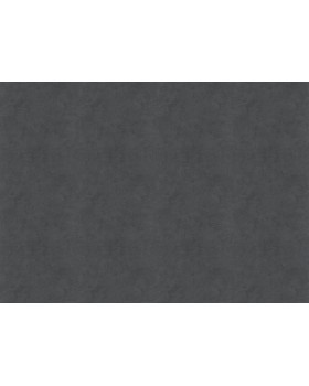 30361 Обои Marburg (Memoria) (1*6) 10,05x1,06 винил на флизелине-foto2