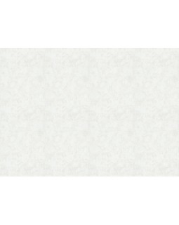 30366 Обои Marburg (Memoria) (1*6) 10,05x1,06 винил на флизелине-foto2