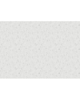 A69702 Обои Grandeco (Avrora) (1*6) 10,05х1,06 винил на флизелине-foto2