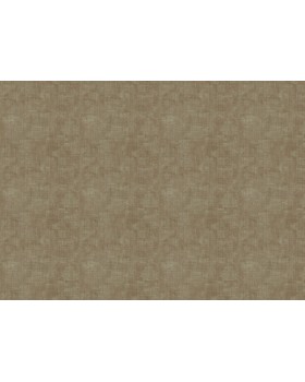 18914 Обои Zambaiti (Trussardi VII) (1*6) 10,05x0,70 винил на флизелине-foto2