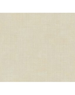 18916 Обои Zambaiti (Trussardi VII) (1*6) 10,05x0,70 винил на флизелине