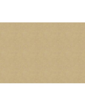 18921 Обои Zambaiti (Trussardi VII) (1*6) 10,05x0,70 винил на флизелине-foto2