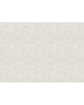 18926 Обои Zambaiti (Trussardi VII) (1*6) 10,05x0,70 винил на флизелине-foto2