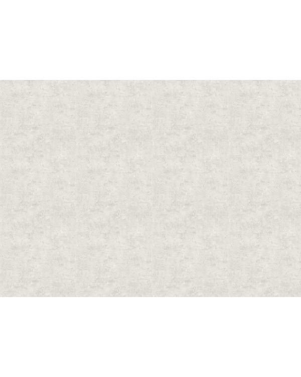 18926 Обои Zambaiti (Trussardi VII) (1*6) 10,05x0,70 винил на флизелине