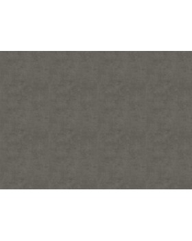 18927 Обои Zambaiti (Trussardi VII) (1*6) 10,05x0,70 винил на флизелине-foto2