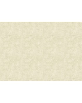 18929 Обои Zambaiti (Trussardi VII) (1*6) 10,05x0,70 винил на флизелине-foto2