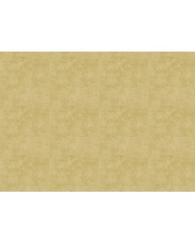 18933 Обои Zambaiti (Trussardi VII) (1*6) 10,05x0,70 винил на флизелине-foto2