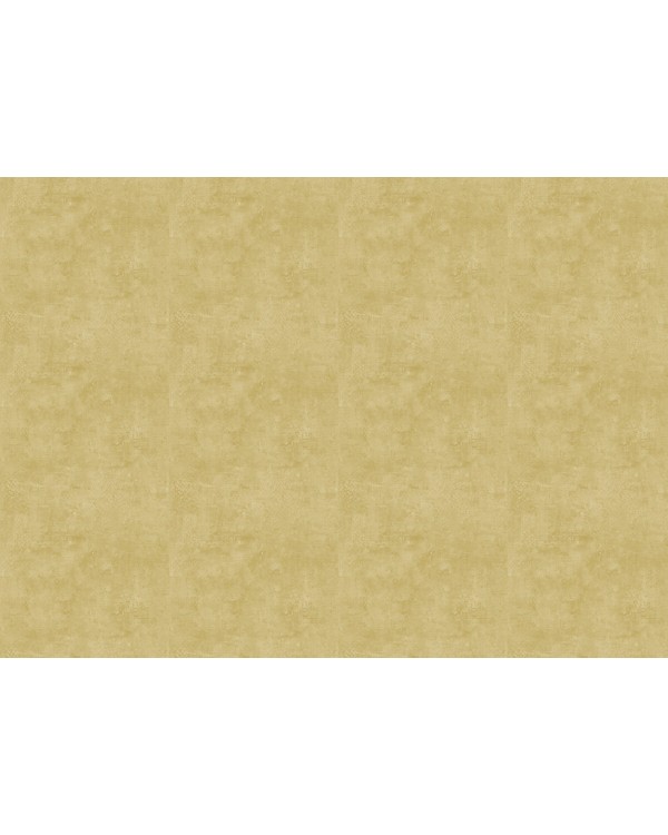 18933 Обои Zambaiti (Trussardi VII) (1*6) 10,05x0,70 винил на флизелине