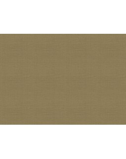 18942 Обои Zambaiti (Trussardi VII) (1*6) 10,05x0,70 винил на флизелине-foto2