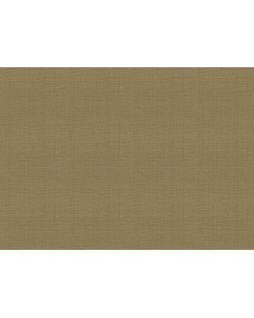 18942 Обои Zambaiti (Trussardi VII) (1*6) 10,05x0,70 винил на флизелине-foto2