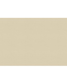 18944 Обои Zambaiti (Trussardi VII) (1*6) 10,05x0,70 винил на флизелине-foto2