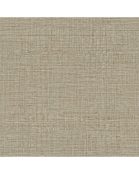 18945 Обои Zambaiti (Trussardi VII) (1*6) 10,05x0,70 винил на флизелине