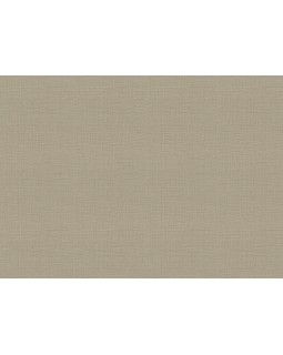 18945 Обои Zambaiti (Trussardi VII) (1*6) 10,05x0,70 винил на флизелине-foto2