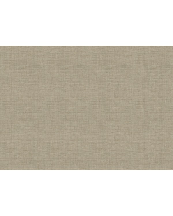 18945 Обои Zambaiti (Trussardi VII) (1*6) 10,05x0,70 винил на флизелине