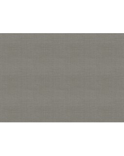 18949 Обои Zambaiti (Trussardi VII) (1*6) 10,05x0,70 винил на флизелине-foto2