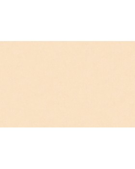 ARTS13 001/2 Обои Artsimple (Valley) (1*6) 10,05x1,00 флизелин ARTS13 001/2 Обои Artsimple (Valley) (1*6) 10,05x1,00 флизелин