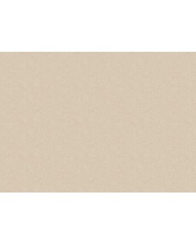 ARTS13 001/6 Обои Artsimple (Valley) (1*6) 10,05x1,00 флизелин-foto2