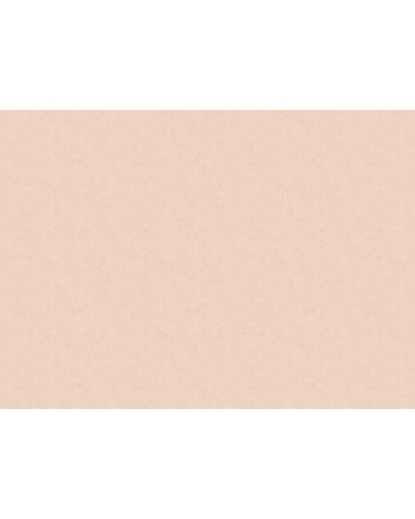 ARTS13 002/5 Обои Artsimple (Valley) (1*6) 10,05x1,00 флизелин