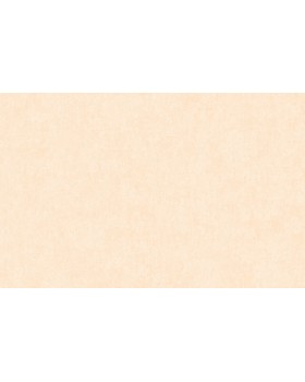 ARTS13 003/3 Обои Artsimple (Valley) (1*6) 10,05x1,00 флизелин