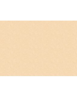 ARTS13 003/4 Обои Artsimple (Valley) (1*6) 10,05x1,00 флизелин-foto2