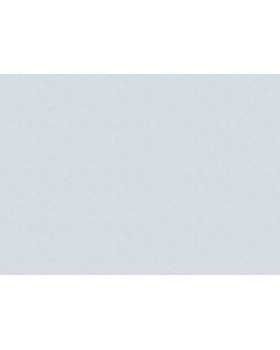 ARTS13 006/1 Обои Artsimple (Valley) (1*6) 10,05x1,00 флизелин-foto2