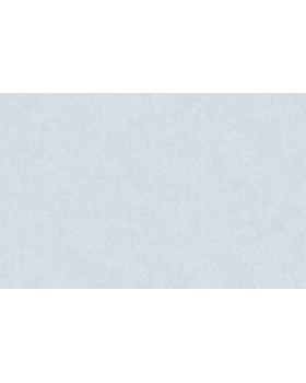 ARTS13 006/1 Обои Artsimple (Valley) (1*6) 10,05x1,00 флизелин