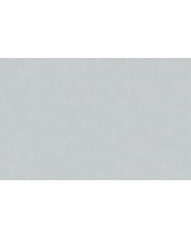 ARTS13 006/2 Обои Artsimple (Valley) (1*6) 10,05x1,00 флизелин