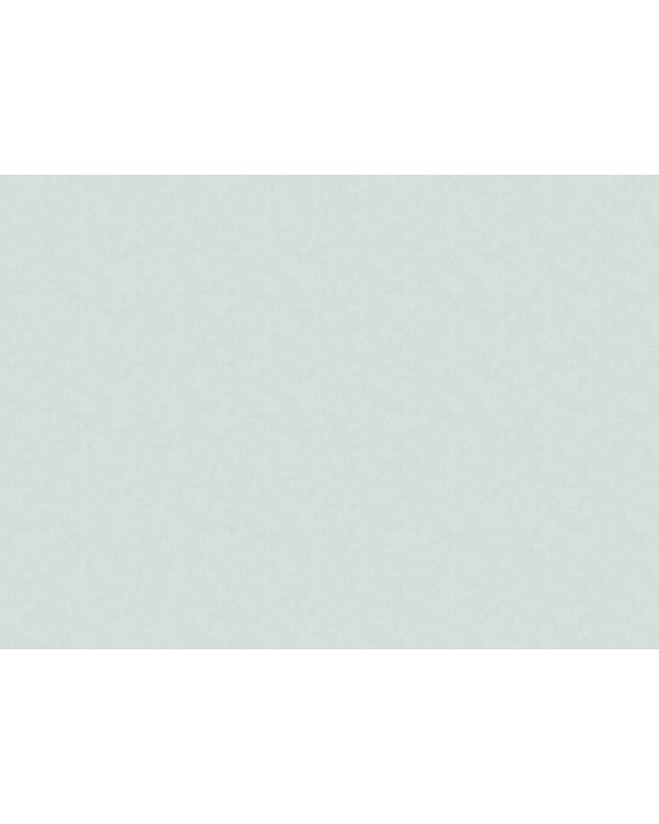ARTS13 006/4 Обои Artsimple (Valley) (1*6) 10,05x1,00 флизелин