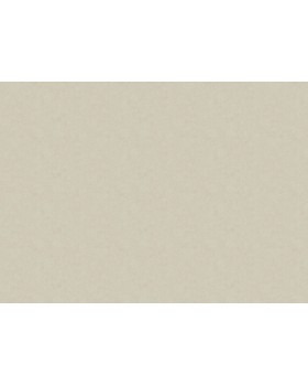 ARTS13 008 Обои Artsimple (Valley) (1*6) 10,05x1,00 флизелин-foto2