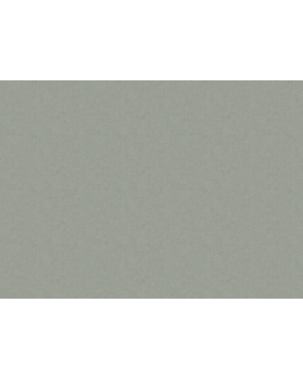 ARTS13 008/3 Обои Artsimple (Valley) (1*6) 10,05x1,00 флизелин