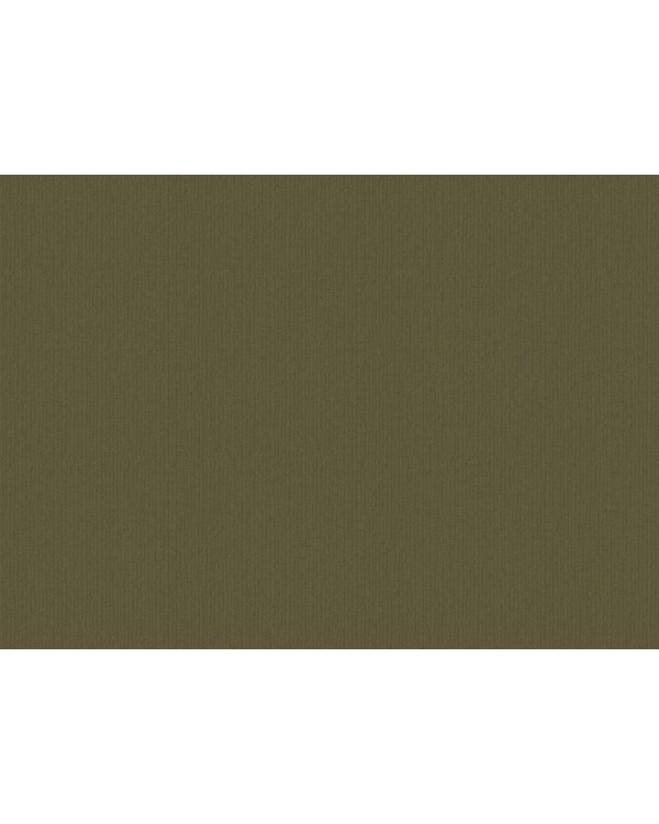 77511 Обои Zambaiti (Savana) (1*6) 10,05x0,53 винил на флизелине