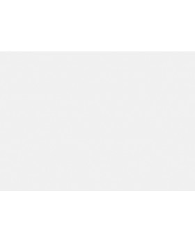 R146001 Обои Grandeco (SECRET) (1*6) 10,05х1,06  винил на флизелине-foto2