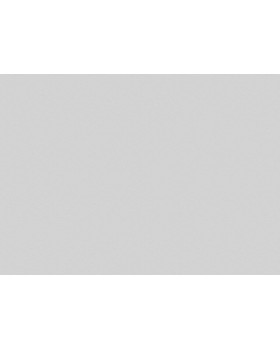 R146009 Обои Grandeco (SECRET) (1*6) 10,05х1,06 винил на флизелине-foto2