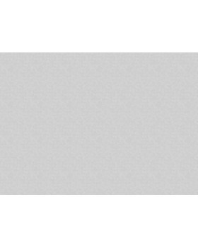 R146109 Обои Grandeco (SECRET) (1*6) 10,05х1,06 винил на флизелине-foto2