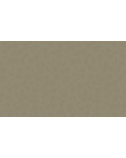 R145122 Обои Grandeco (SECRET) (1*6) 10,05х1,06  винил на флизелине