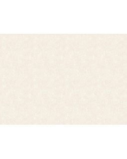 VR 1110 Обои Grandeco (Universe 5) (1*6) 10,05х1,06  винил на флизелине-foto2