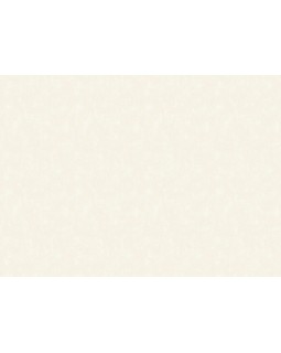 VR 1111 Обои Grandeco (Universe 5) (1*6) 10,05х1,06  винил на флизелине-foto2