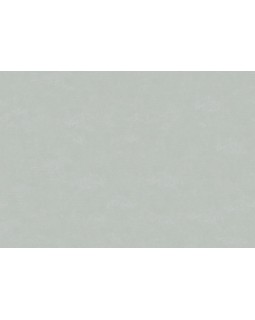 30174 Обои Marburg (The new Bombay) (1*4) 10,05x0,92 винил на флизелине