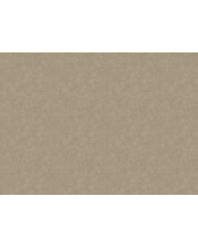 12818 Обои Zambaiti (Lamborghini 3) (1*6) 10,05x0,70 винил на флизелине-foto2