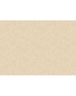 12820 Обои Zambaiti (Lamborghini 3) (1*6) 10,05x0,70 винил на флизелине-foto2