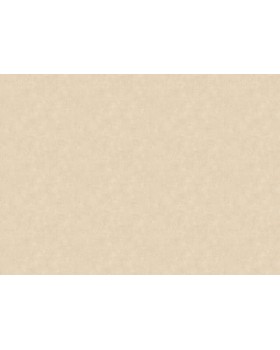 12820 Обои Zambaiti (Lamborghini 3) (1*6) 10,05x0,70 винил на флизелине-foto2